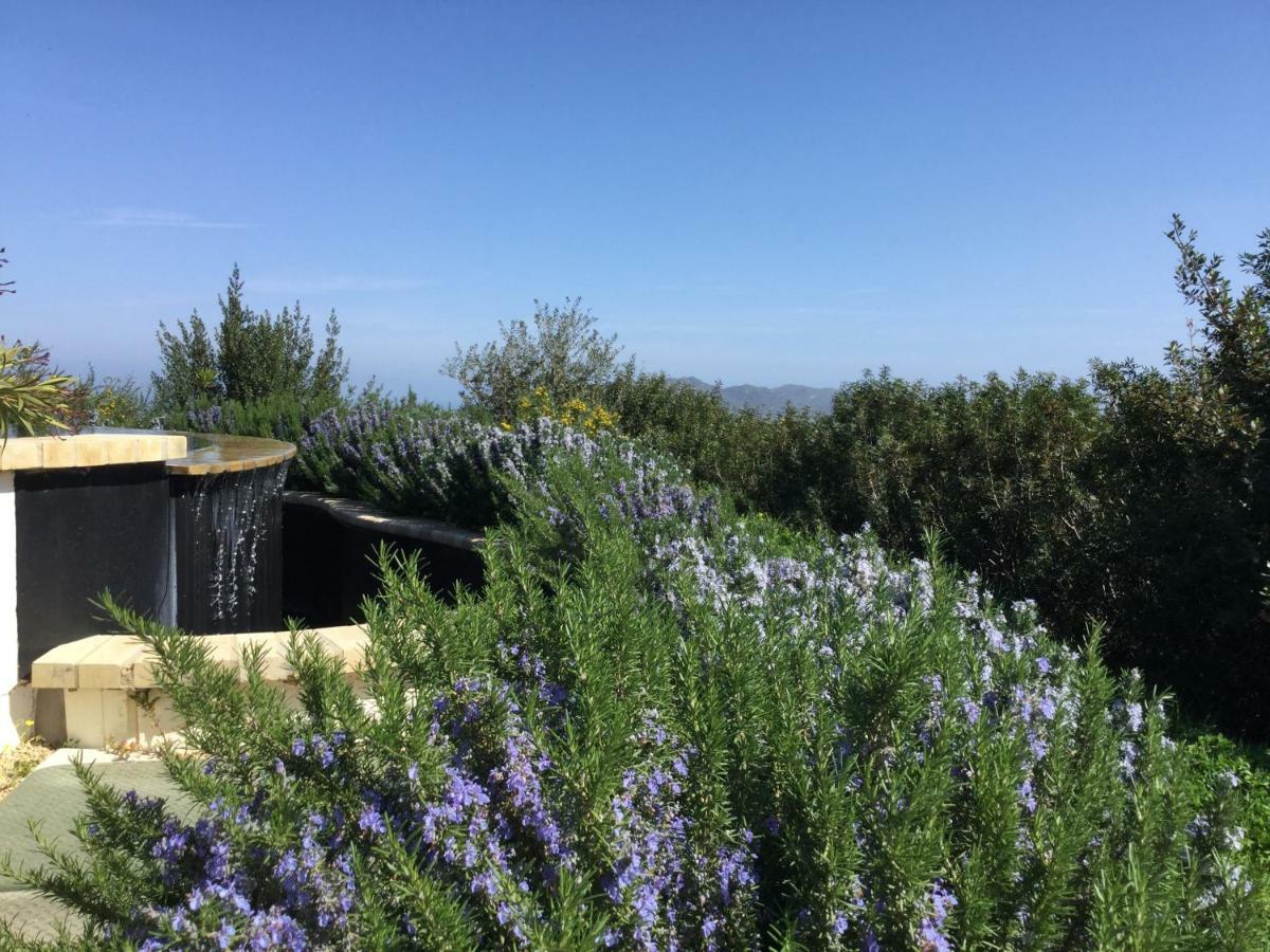 Le Tre Civette - Residenza Di Campagna Panzió Villa San Pietro Kültér fotó